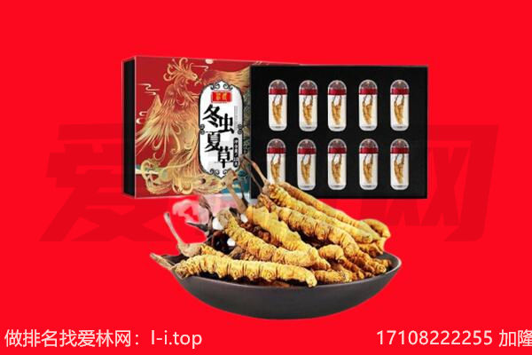 岳阳君山区回收虫草.jpg
